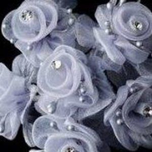 Meet your Posher, Jeannie